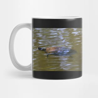 turtle swimming at Trojan pond, near Goble, Oregon 2 Mug